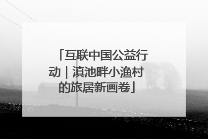 互联中国公益行动｜滇池畔小渔村的旅居新画卷