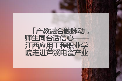 产教融合触脉动，师生同台话信心——江西应用工程职业学院走进芦溪电瓷产业园创新思政课堂