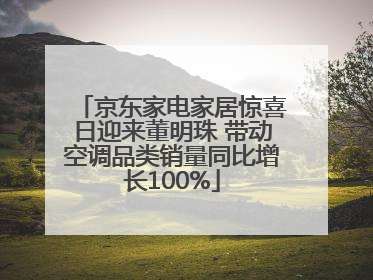 京东家电家居惊喜日迎来董明珠 带动空调品类销量同比增长100%