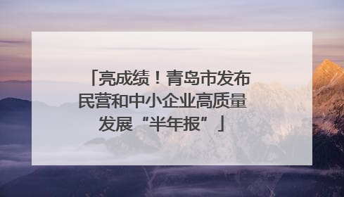 亮成绩！青岛市发布民营和中小企业高质量发展“半年报”