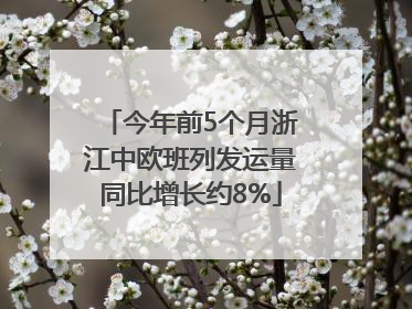 今年前5个月浙江中欧班列发运量同比增长约8%