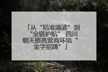 从“精准滴灌”到“全链护航” 四川朝天擦亮营商环境“金字招牌”