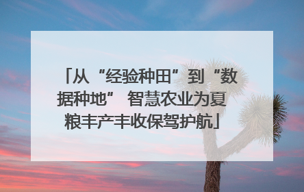 从“经验种田”到“数据种地” 智慧农业为夏粮丰产丰收保驾护航