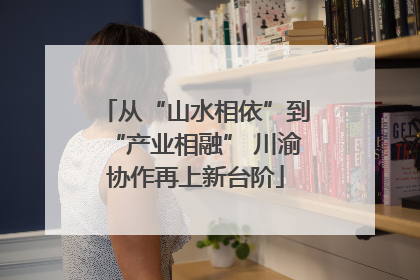 从“山水相依”到“产业相融” 川渝协作再上新台阶