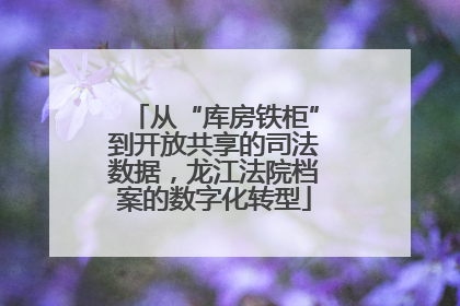 从“库房铁柜”到开放共享的司法数据，龙江法院档案的数字化转型