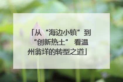 从“海边小镇”到“创新热土” 看温州翁垟的转型之道