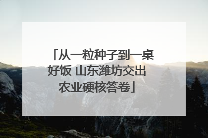 从一粒种子到一桌好饭 山东潍坊交出农业硬核答卷