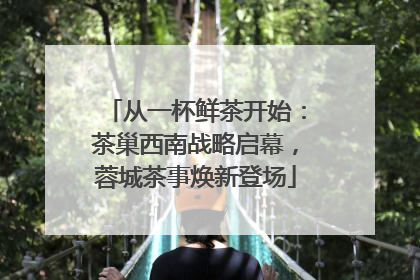 从一杯鲜茶开始：茶巢西南战略启幕，蓉城茶事焕新登场