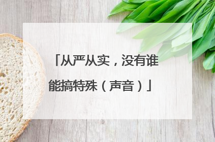 从严从实，没有谁能搞特殊（声音）