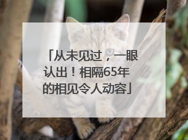 从未见过，一眼认出！相隔65年的相见令人动容