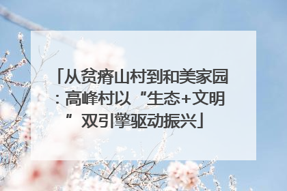 从贫瘠山村到和美家园：高峰村以“生态+文明”双引擎驱动振兴