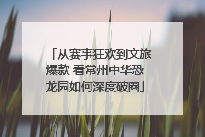 从赛事狂欢到文旅爆款 看常州中华恐龙园如何深度破圈