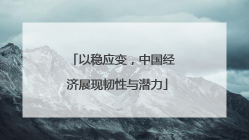 以稳应变，中国经济展现韧性与潜力