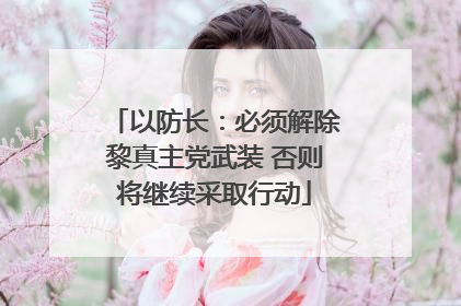 以防长：必须解除黎真主党武装 否则将继续采取行动