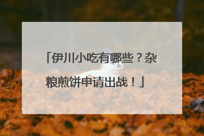 伊川小吃有哪些？杂粮煎饼申请出战！