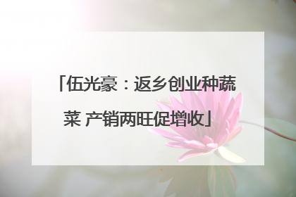 伍光豪：返乡创业种蔬菜 产销两旺促增收