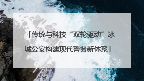 传统与科技“双轮驱动”冰城公安构建现代警务新体系