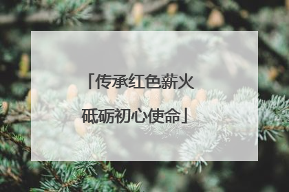 传承红色薪火 砥砺初心使命