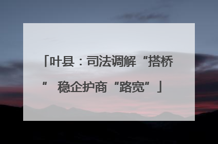 叶县：司法调解“搭桥” 稳企护商“路宽”