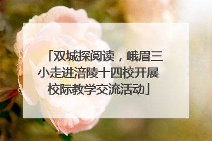 双城探阅读，峨眉三小走进涪陵十四校开展校际教学交流活动