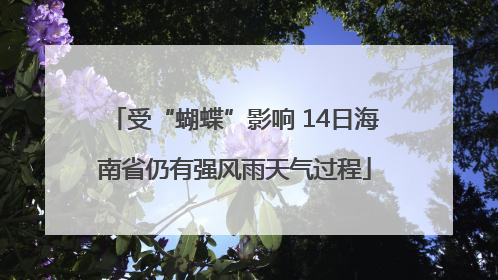 受“蝴蝶”影响 14日海南省仍有强风雨天气过程