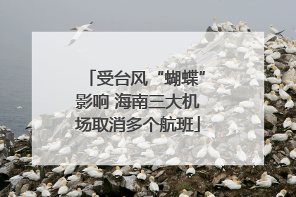 受台风“蝴蝶”影响 海南三大机场取消多个航班