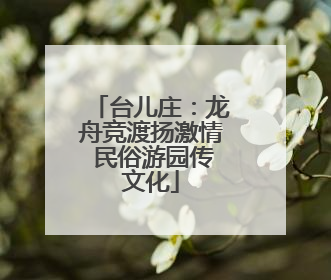 台儿庄：龙舟竞渡扬激情 民俗游园传文化