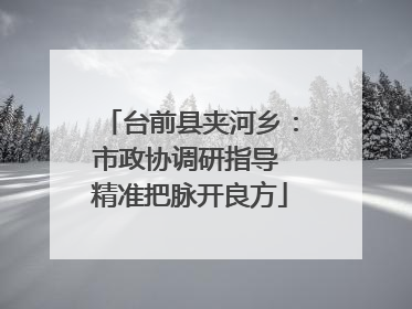 台前县夹河乡：市政协调研指导 精准把脉开良方