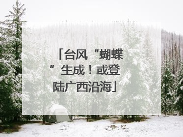 台风“蝴蝶”生成！或登陆广西沿海