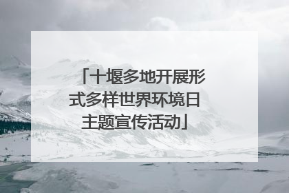 十堰多地开展形式多样世界环境日主题宣传活动