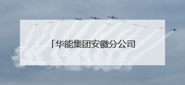 华能集团安徽分公司党委书记马冰武履新华电集团副总经理