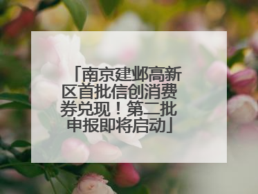 南京建邺高新区首批信创消费券兑现！第二批申报即将启动