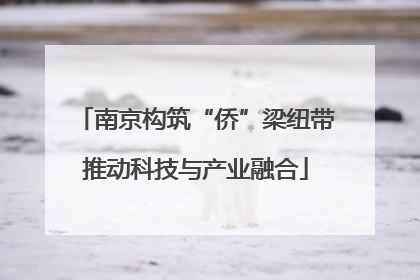 南京构筑“侨”梁纽带推动科技与产业融合
