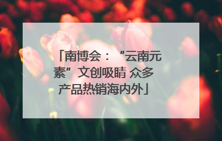 南博会：“云南元素”文创吸睛 众多产品热销海内外