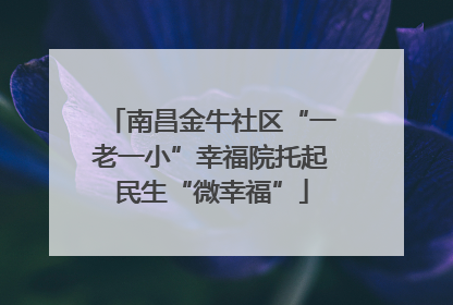 南昌金牛社区“一老一小”幸福院托起民生“微幸福”