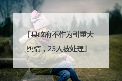 县政府不作为引重大舆情，25人被处理