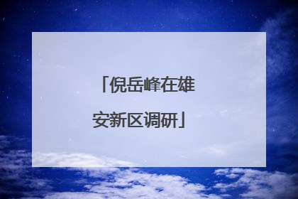 倪岳峰在雄安新区调研