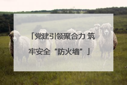 党建引领聚合力 筑牢安全“防火墙”