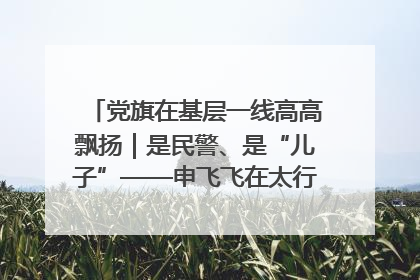 党旗在基层一线高高飘扬｜是民警、是“儿子”——申飞飞在太行山中的一线坚守