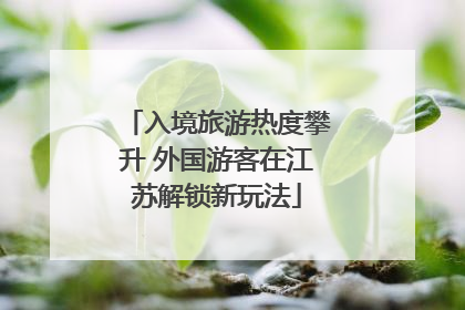 入境旅游热度攀升 外国游客在江苏解锁新玩法