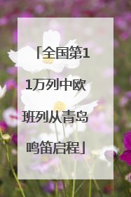 全国第11万列中欧班列从青岛鸣笛启程