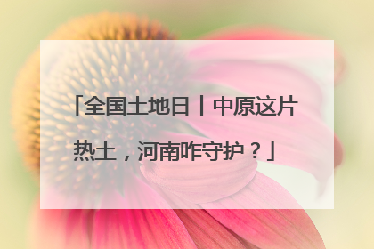 全国土地日丨中原这片热土，河南咋守护？