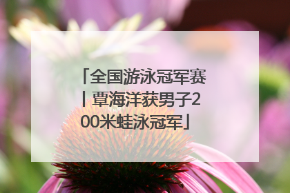 全国游泳冠军赛丨覃海洋获男子200米蛙泳冠军