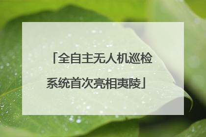 全自主无人机巡检系统首次亮相夷陵
