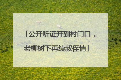 公开听证开到村门口，老柳树下再续叔侄情