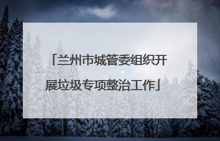 兰州市城管委组织开展垃圾专项整治工作