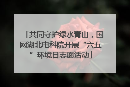 共同守护绿水青山，国网湖北电科院开展“六五”环境日志愿活动