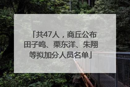 共47人，商丘公布田子鸣、栗东洋、朱翔等拟加分人员名单