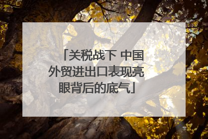关税战下 中国外贸进出口表现亮眼背后的底气