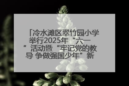 冷水滩区翠竹园小学举行2025年“六一”活动暨“牢记党的教导 争做强国少年”新队员入队仪式
